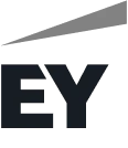 Ernest Young logo Ernest Young logo