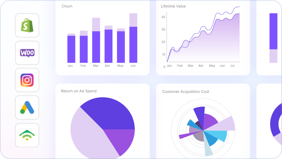 Interactive Visualizations